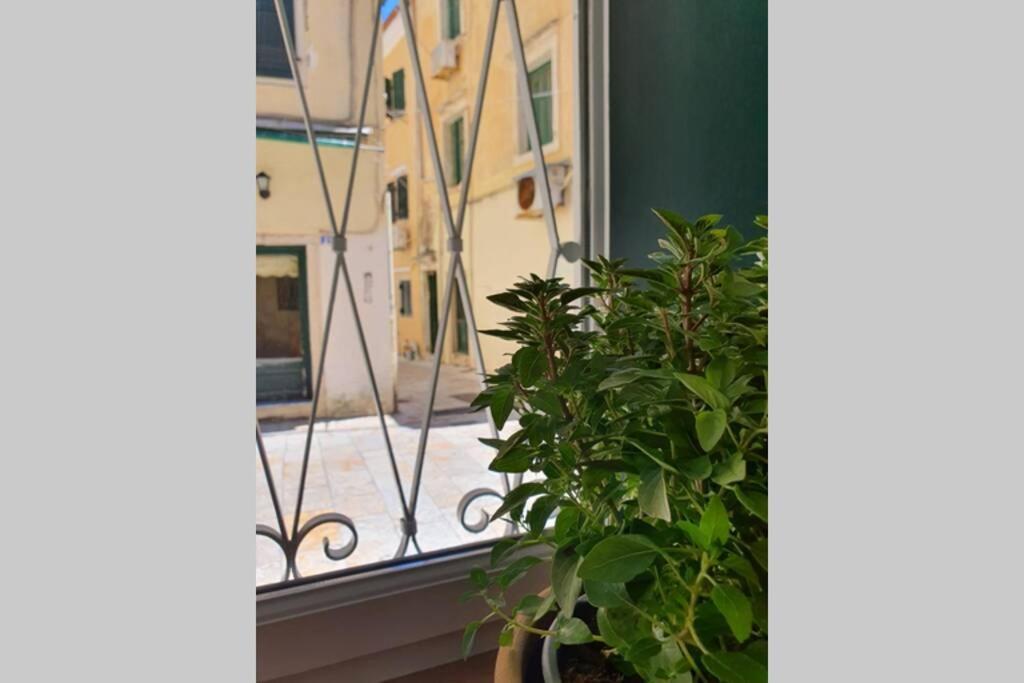 Elia Luxury Suite, Corfu Town Kültér fotó